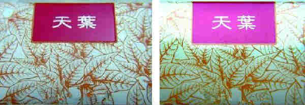 幾招辨識黃金葉天葉真假(超實(shí)用)