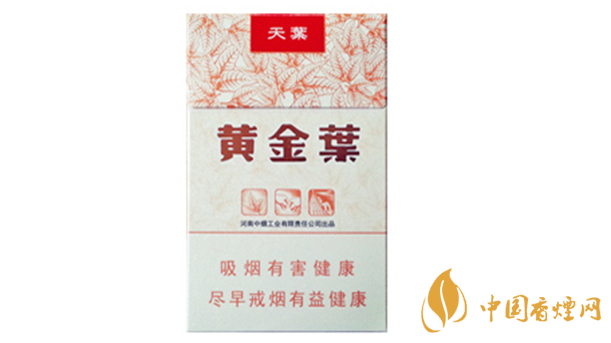 黃金葉天葉真?zhèn)卧趺幢鎰e？天葉真假如何看？