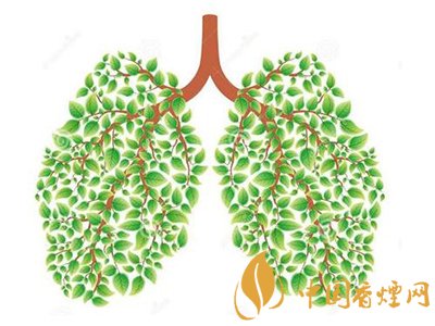 相比癌癥慢阻肺疾病離吸煙者更近！