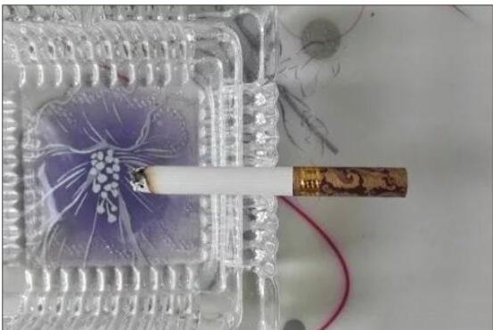 黃鶴樓漫天游，除了短貴沒別的毛病