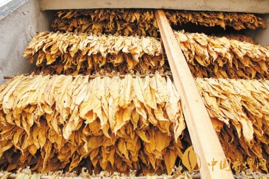 煙葉稅是什么，煙葉稅如何計算