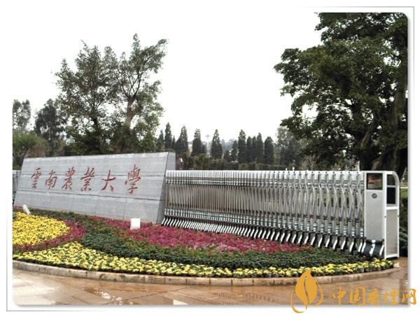 煙草專業(yè)大學(xué)排名，煙草專業(yè)就業(yè)前景好