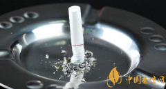 吃煙灰有毒嗎(沒毒) 煙灰有什么作用(當肥料養(yǎng)花)