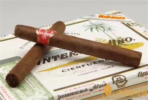 古巴雪茄(金特羅賓利)價格表圖 金特羅賓利雪茄多少錢
