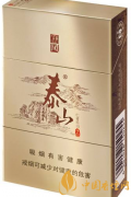 泰山儒風(fēng)細煙介紹 好抽的泰山儒風(fēng)細支爆珠盤點
